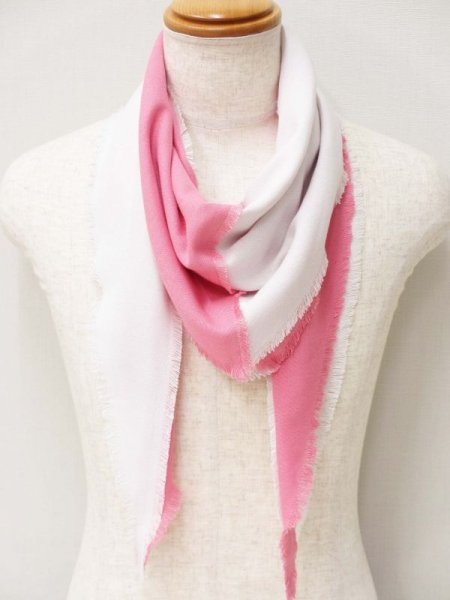 画像5: 承彩 雪の下 椿 (5)