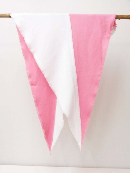 画像8: 承彩 雪の下 椿 (8)