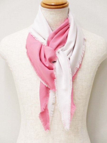 画像7: 承彩 雪の下 椿 (7)